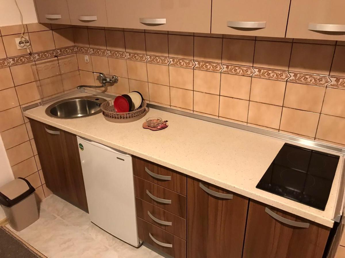 Apartman Samardzic Višegrad エクステリア 写真